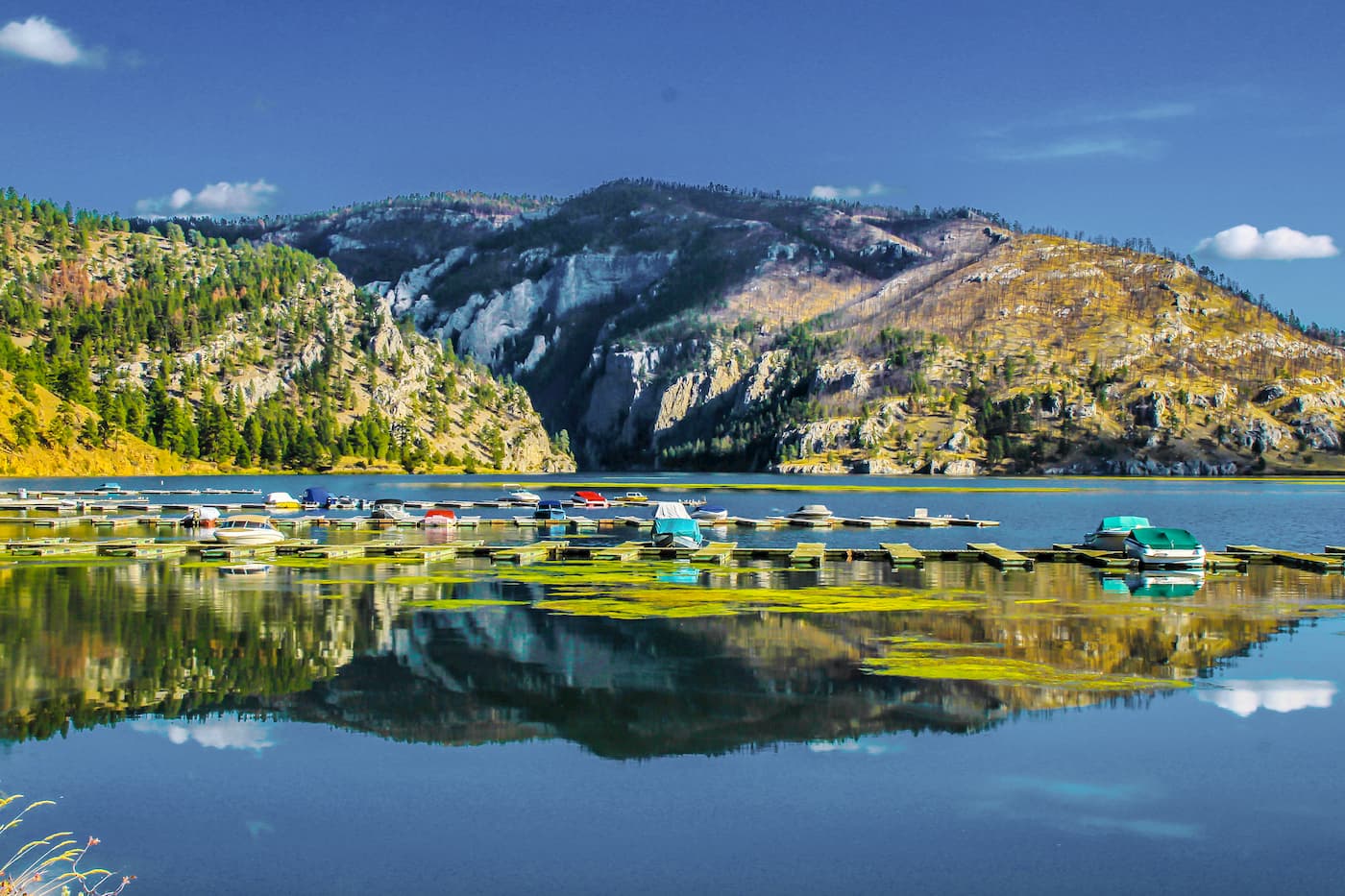 The marina at Gates of the Mountain
